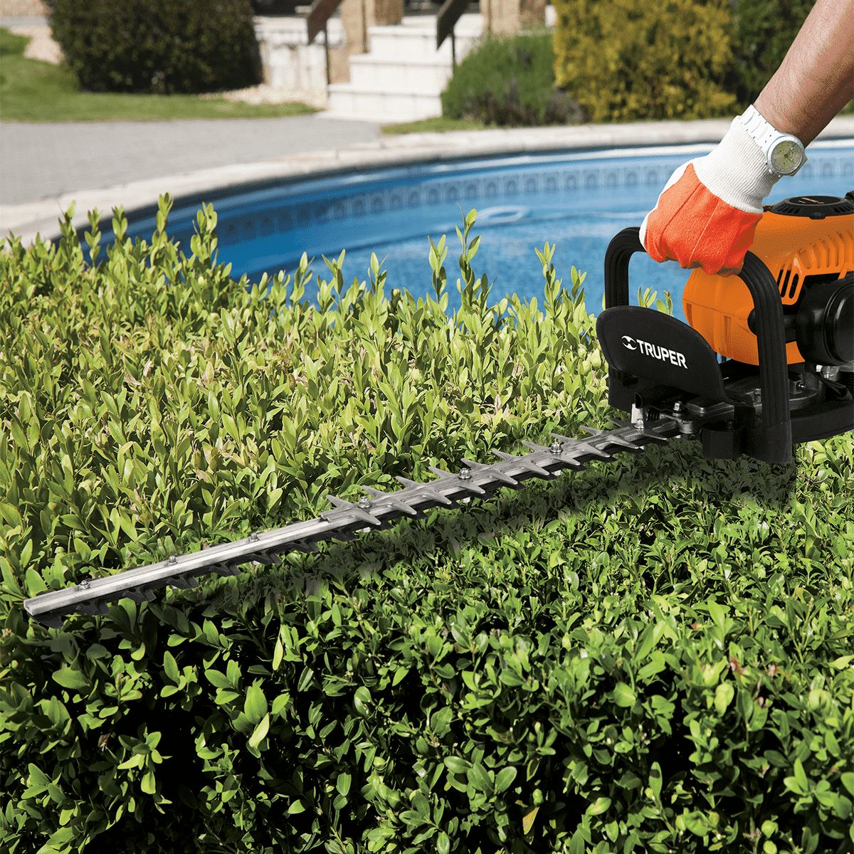 מסור גיזום מקצועי גדר חיה TRUPER